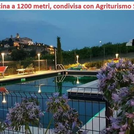 Agriturismo Galanti Cossignano Esterno foto