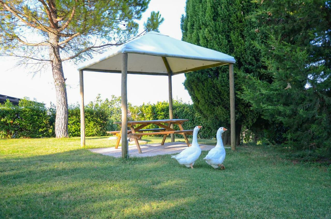 Agriturismo Galanti Cossignano Esterno foto
